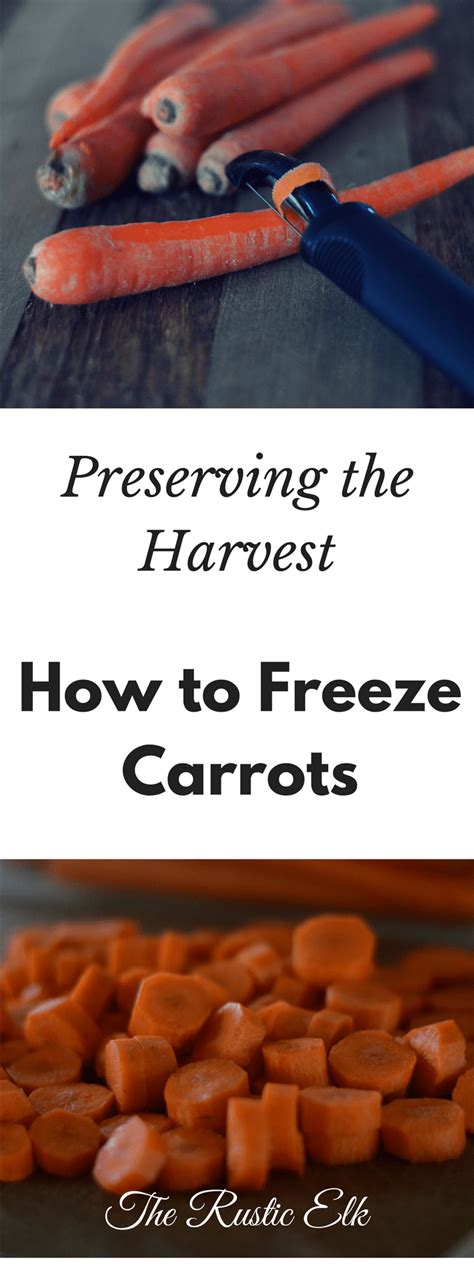 How To Freeze Carrots Freezing Carrots Canned Carrots Carrots