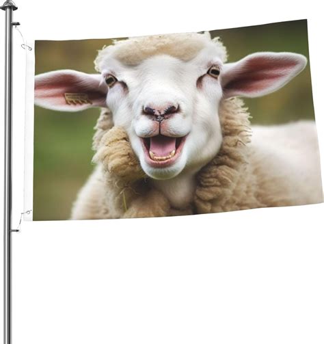 funny animal yard flags 12