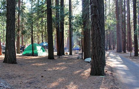 9 Best Campgrounds at Kings Canyon National Park | PlanetWare