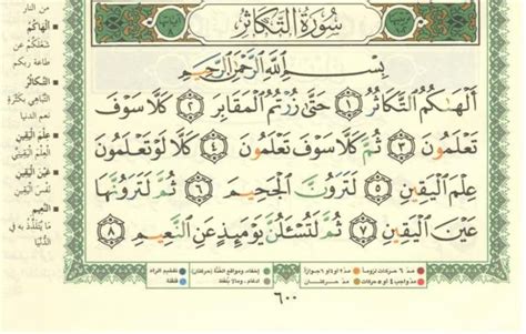 Surah Takathur Alhamdulillah Org