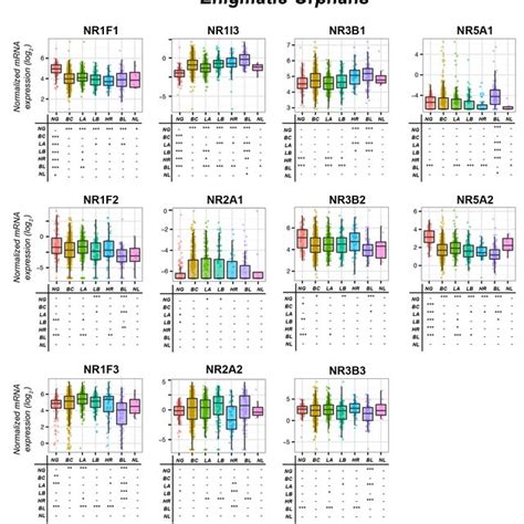 Expression Of Enigmatic Orphan Receptors In Normal Mammary Glands And