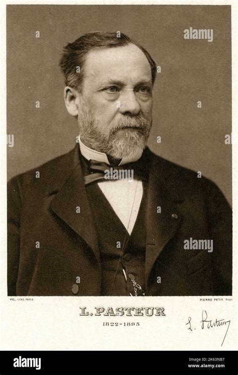 Louis Pasteur 1822 1895 French Chemist And Microbiologist Stock