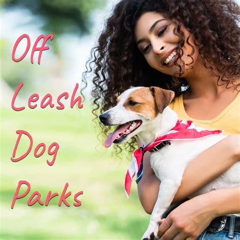 Edmonton Guide Best Off Leash Dog Parks In Edmonton Alberta