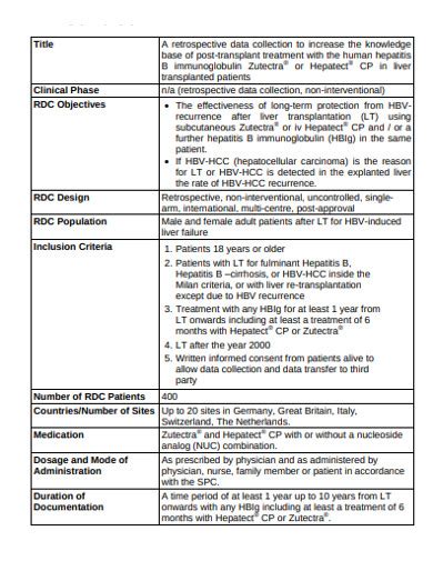 Documentation Plan 10 Examples Format How To Write PDF