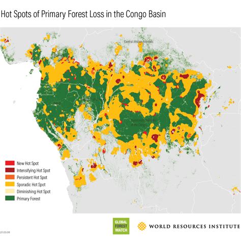 Primary Forest Loss in Congo Basin Escalates in 2020