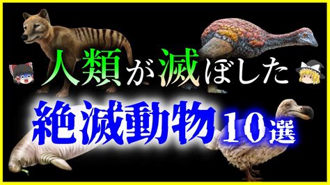 【豆知識】ゆくゆくは漢字を絶滅させアルファベットに移行するつもりだ中国共産党は｢漢字は劣った文字｣と考えていた