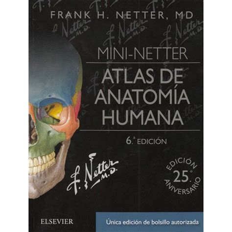 Amazon Mini Netter Atlas De Anatomía Humana 6 Ed Venta