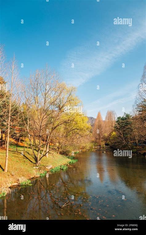 Spring of Seoul grand park in Gwacheon, Korea Stock Photo - Alamy