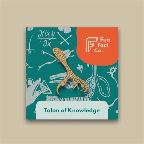 Talon Of Knowledge Bronze Pin Fun Fact Co