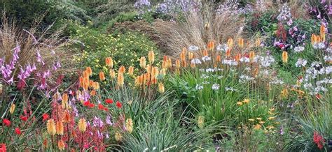 The South African Border At The Garden House Garden Ideas South