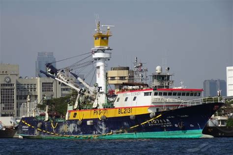 WIN FOREVER NO707, Fishing vessel - Details and current position - MMSI ...