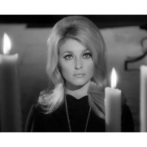 Sharon Tate Eye Of The Devil Very Rare Glossy 8x10 Borderless Photo Yrg 17 On Ebid Ireland