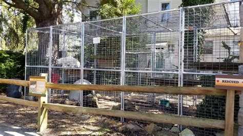 Plumpton Park Zoo Arctic Fox Zoochat