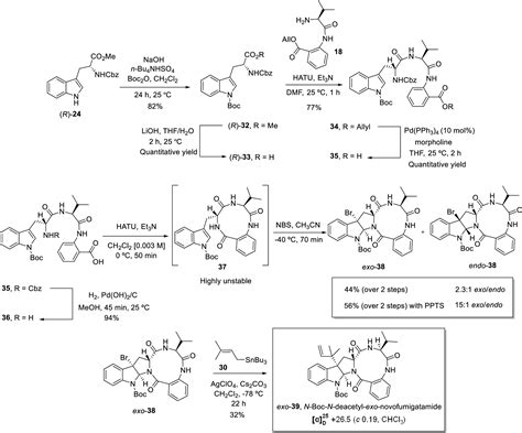 Total Synthesis Of The Proposed Structure Of Novofumigatamide