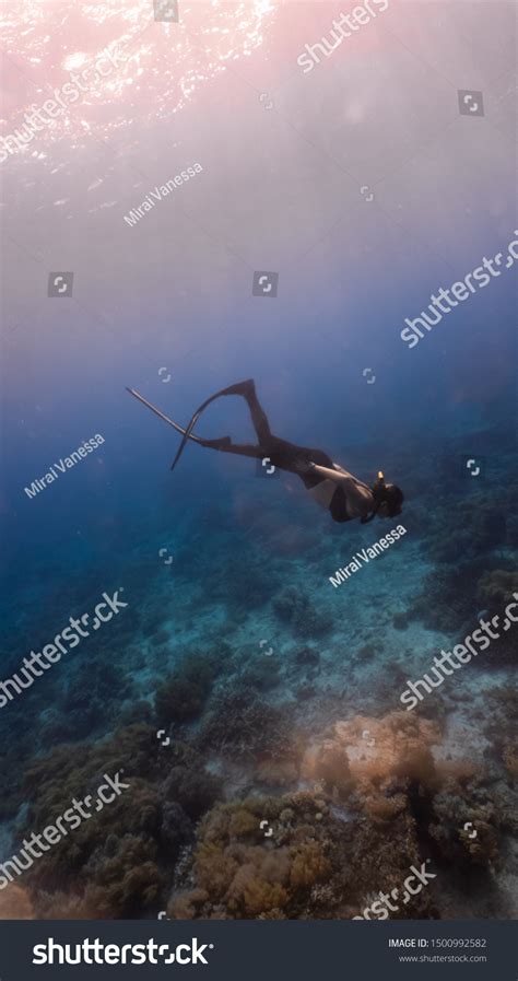 Sexy Girl Wearing Bikini Freediving Down Foto Stok 1500992582