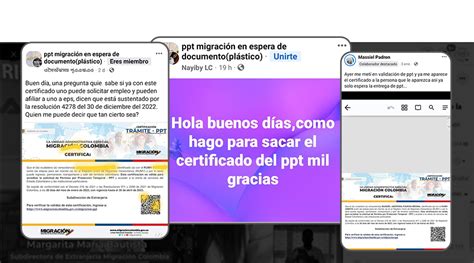 Explicador ¿para Qué Sirve La Certificación De Trámite Del Ppt Y Cómo