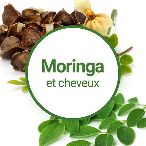 Comment utiliser lhuile végétale de Moringa pour les cheveux