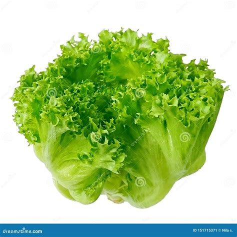 Iceberg Lettuce Salad