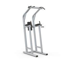 Gainmotion Commercial Chin Up Dip Leg Raise Buy Online At Special