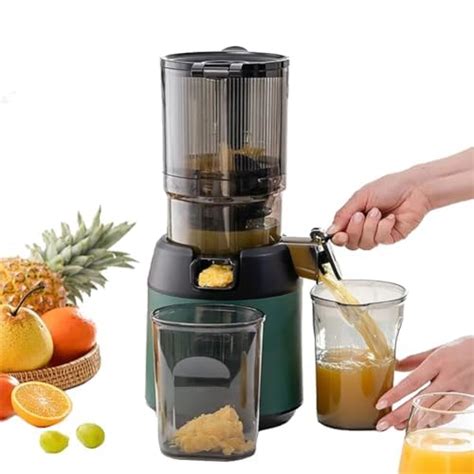 W Professional Slow Juicer Juicer Machines Cold Press Masticating