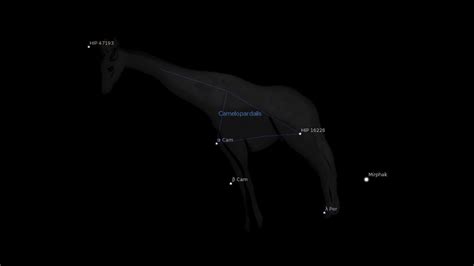 Camelopardalis Constellation Meaning – Astrology King