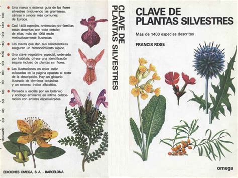 Fp Agraria Clave De Identificación De Plantas Silvestres