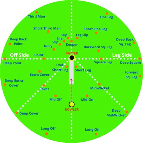 Cricket Fielding Drills - Types & Everything Explained: 2023