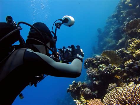 10 Best Underwater Cameras of 2024: Essential Reviews