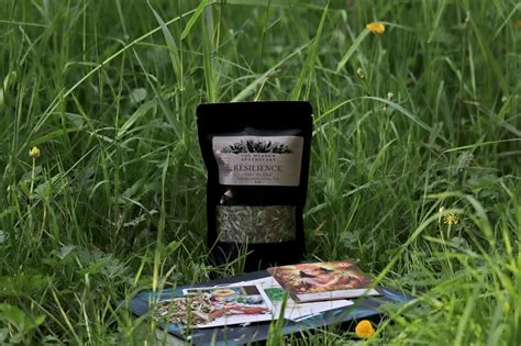 Memory Herbal Salt — The Meadow Apothecary