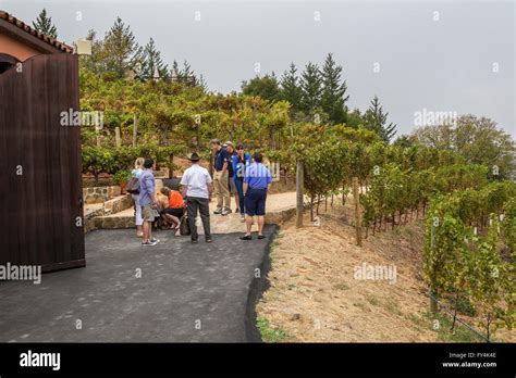 People Tourists Wine Tasting Winery Tour Barnett Vineyards Spring