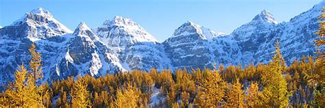 Lake Louise Hiking Guide The Best Hikes And Walks In Lake Louise