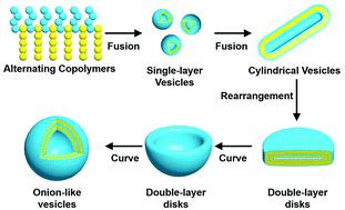 Self Assembly Of Sequence Regulated Amphiphilic Copolymers With