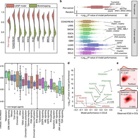 Lncrna Based En Prediction Models Predict Drug Response In Cancer Cell Download Scientific