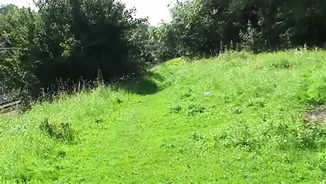 Foxxy Angel Porn Videos 2024 Porn Star Sex Scenes XHamster