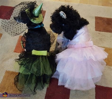 Wizard of Oz Witches Dogs Costume | DIY Costume Guide