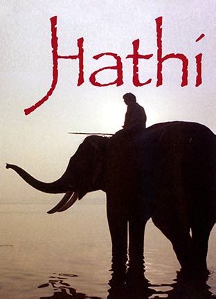 hathi attraction distribution
