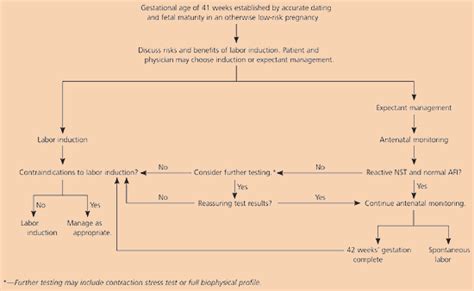 Management Of Pregnancy Beyond 40 Weeks Gestation Aafp