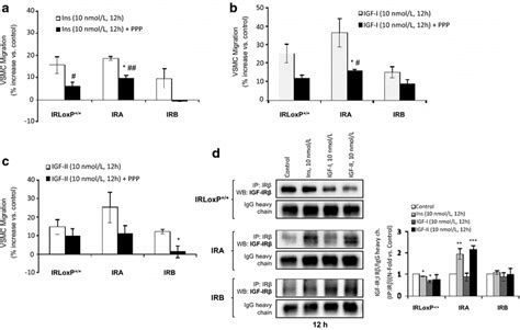 Effect Of Igf Ir Inhibition On Vsmc Migration Induced By Insulin Or