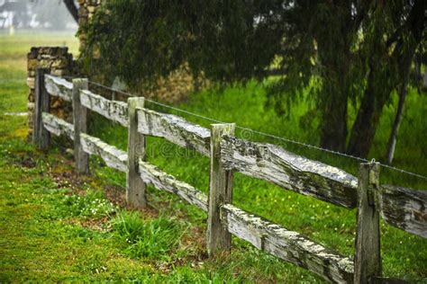 Hardwood Old Fence With Moss Stock Photo Image Of Rails Fence 163096870