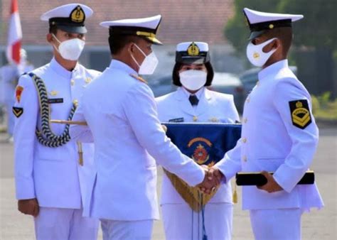 Link Daftar Bintara Dan Tamtama Tni Al Gelombang I Tahun Ini