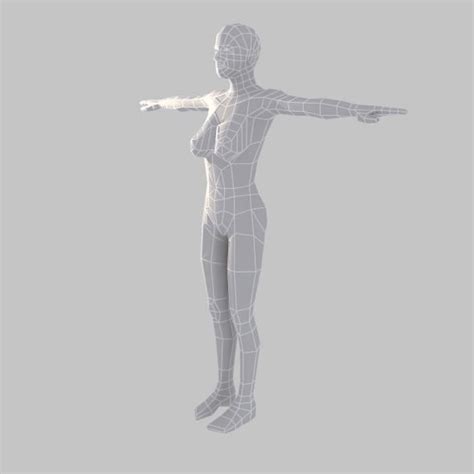 Low Poly Base Mesh Female Low Poly Poly 3d Character