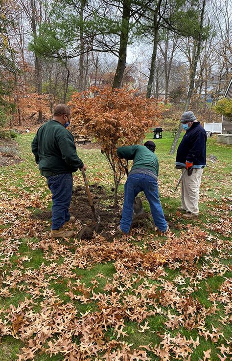 About Us Rosedale Nurseries