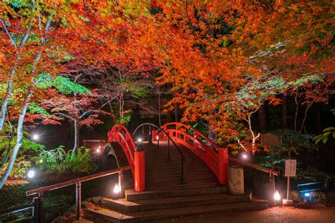 【2024年版】京都市の絶景スポット30選！紅葉・重要文化財・桜絶景など旅行好きな筆者が紹介｜アニーお祝い体験マガジン