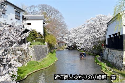 【楽天市場】【ふるさと納税】滋賀県近江八幡市の対象施設で使える楽天トラベルクーポン 寄附額50000円 旅行 チケット 観光地応援 滋賀県