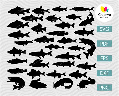 River Fish SVG Bundle | Creative Vector Studio