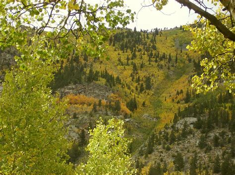 On The Road to St. Elmo, CO | St. Elmo is a ghost town in Ch… | Flickr