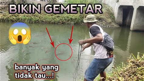 Gak Terduga Sungai Di Kota Ini Banyak Ikannya Jala Ikan Di Sungai