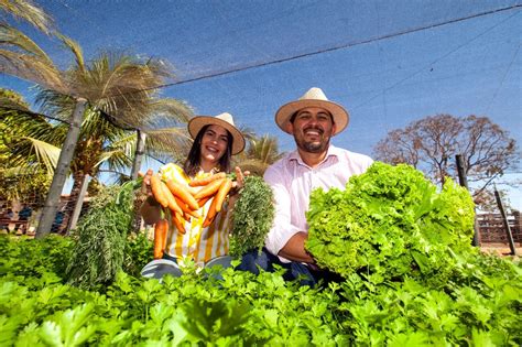 Instituto Mosaic Beneficia Pequenos Produtores Rurais Em Barreiras