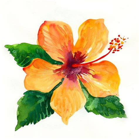 Orange Hibiscus Painting