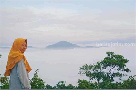 Tak Hanya Pantai, Trenggalek Punya Wisata di Atas Awan yang Menawan